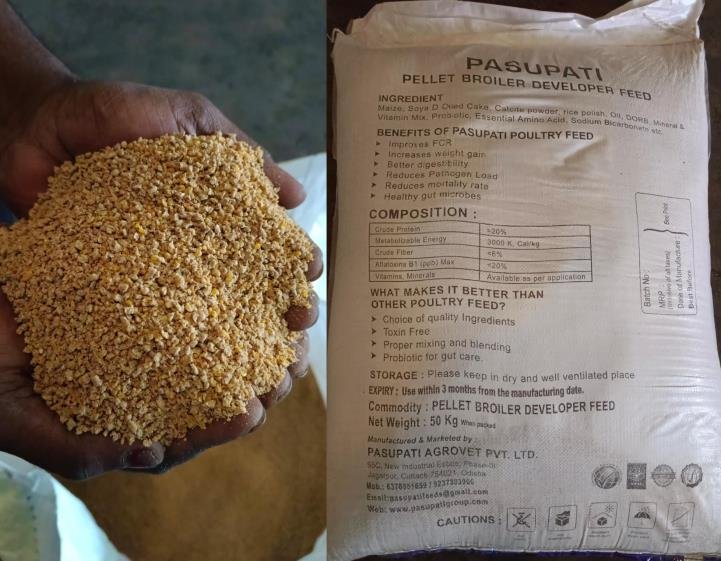 Chicken Developer Feed